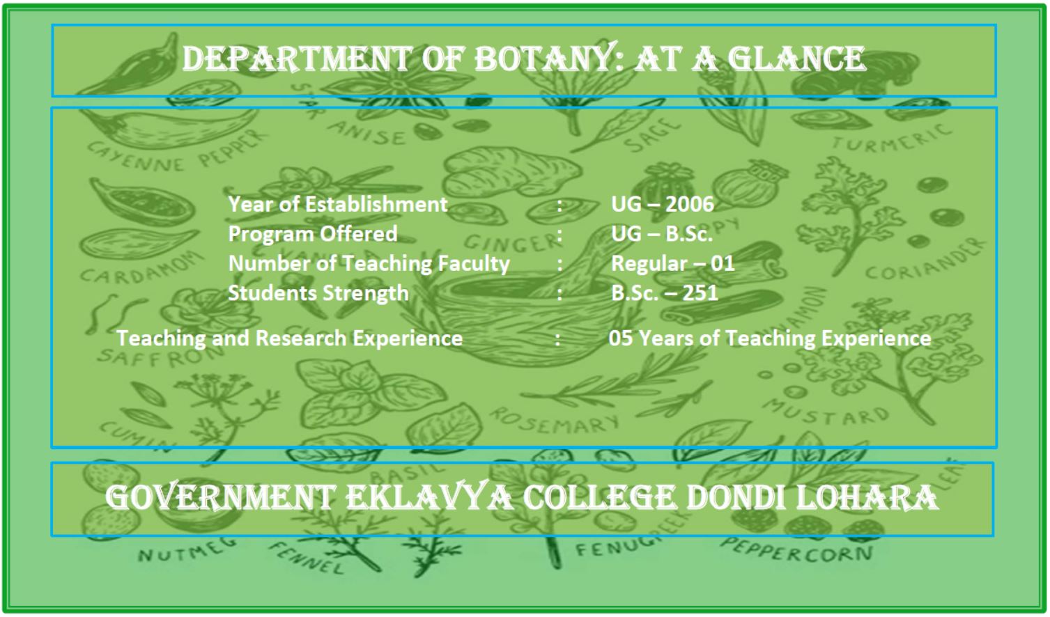 Department at a Glance